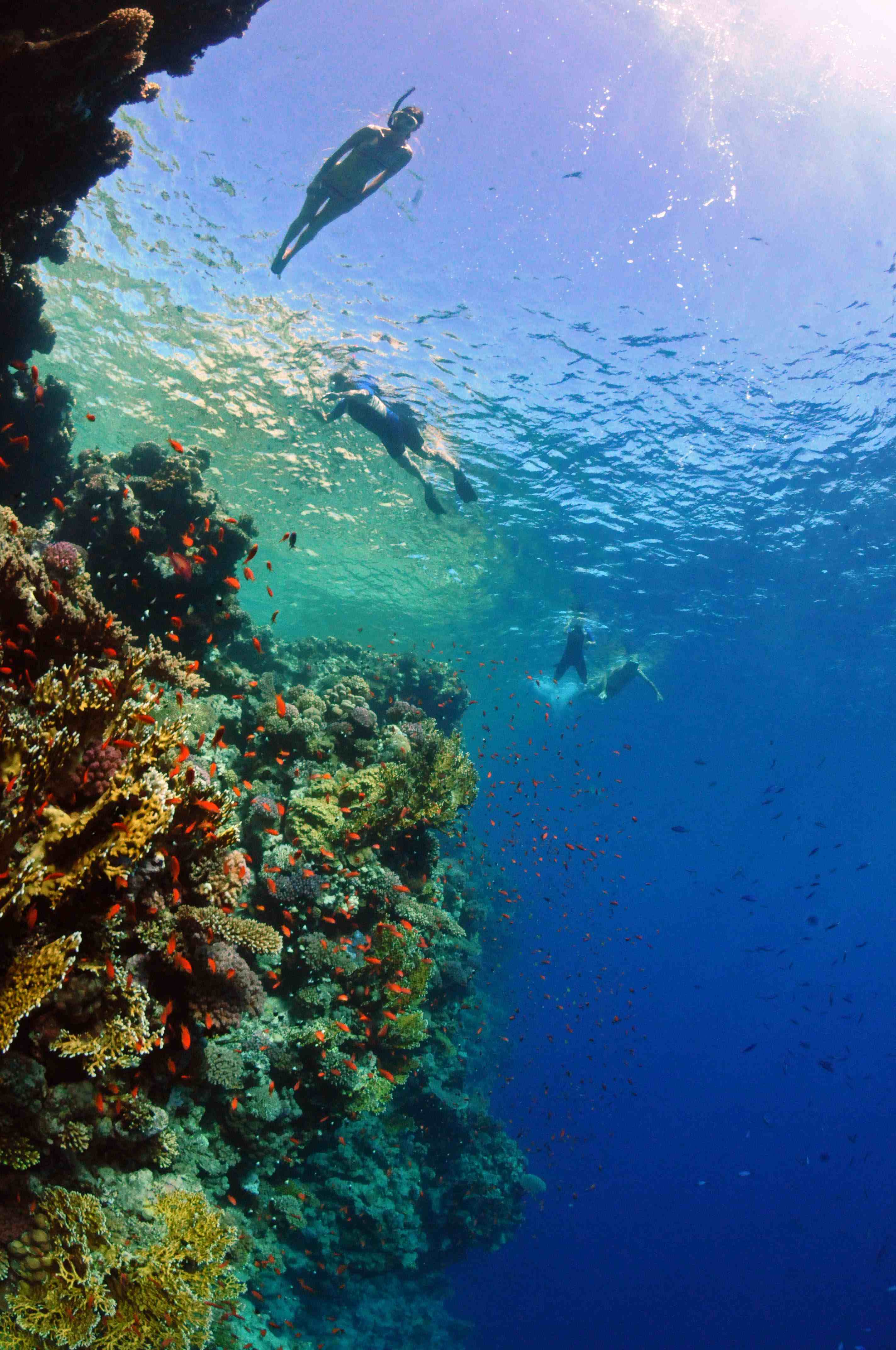 Egipto ocupa el segundo lugar en el mundo en buceo