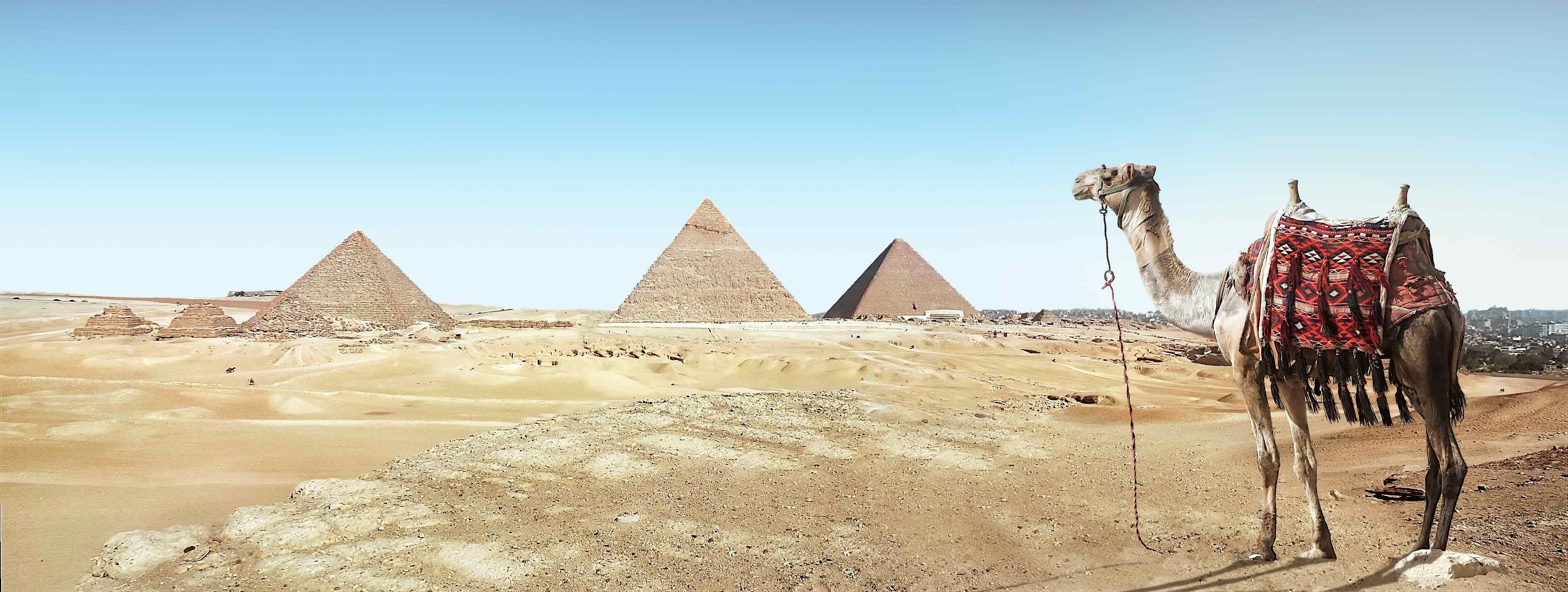 Tour completo a las pirámides de Giza Memphis y Saqqara